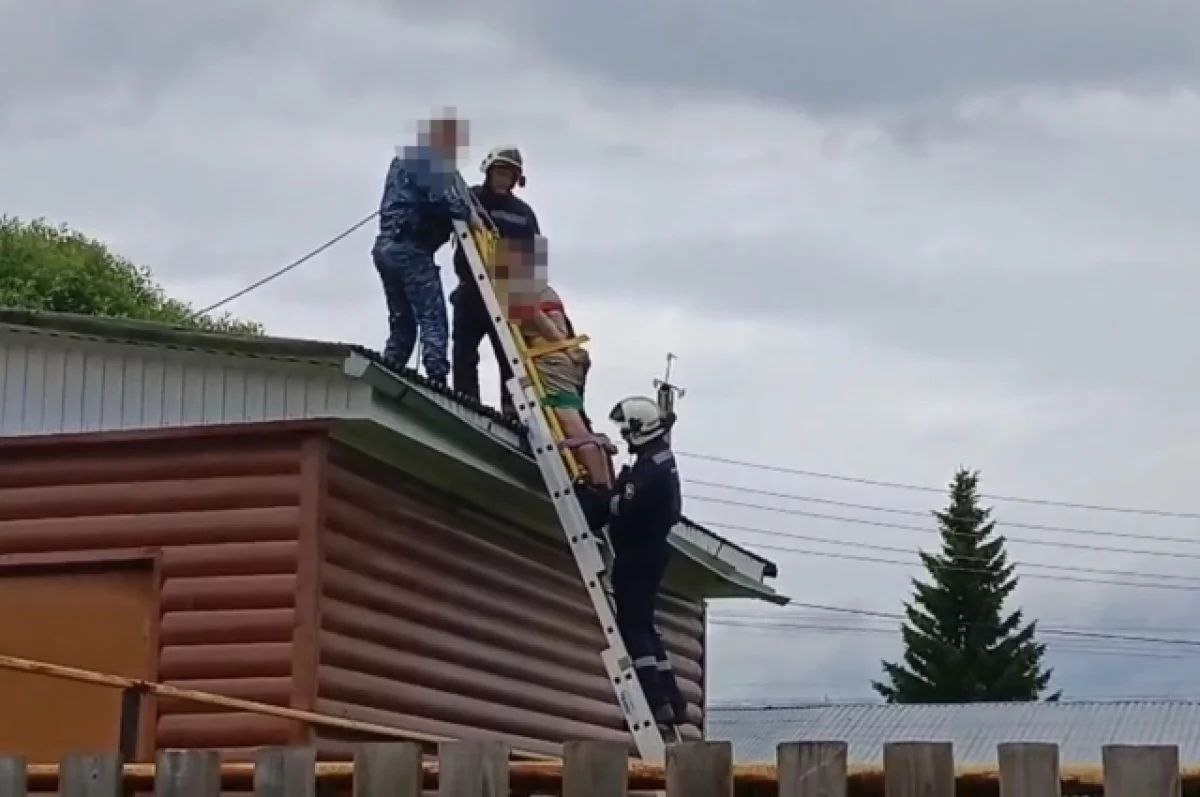 Спасателям в городе Кунгуре Пермского края пришлось снимать с крыши человека в неадекватном состоянии, рассказали в поисково-спасательной службе Кунгурского округа.  Инцидент произошёл утром 1 июля. От единой дежурно-диспетчерской службы поступила информация, что на крыше дома по улице Молодёжной находится неадекватный мужчина, и чтобы снять его оттуда, нужна помощь спасателей.  Приехавшие на вызов сотрудники Кунгурской ПСС сперва пытались уговорить мужчину спуститься, но тот делать этого не желал. Наконец один из спасателей сам поднялся на крышу и, пока собеседник отвлёкся, провёл силовой захват. Это позволило двум другим спасателям, а также сотруднику федеральной службы судебных приставов, который также находился на месте событий, подняться на крышу и применить спецсредства, чтобы обезвредить мужчину.  После этого обездвиженного человека привязали к носилкам и с помощью альпинистского снаряжения и стремянки спустили на землю, где передали сотрудникам скорой помощи и службы судебных приставов.  Источник    ЧП Пермь    Прислать новость