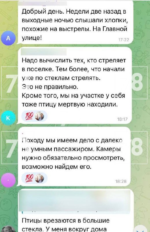 Девушка приехала на дачу и обнаружила пулевое отверстие в своем окне Днем петербурженка приехала в деревню Светлое в Ленинградской области. Однако вместо отдыха на даче, девушка столкнулась с неприятной реальностью - в окне дома она обнаружила пулевое отверстие с трещинами. Помимо ущерба в 3000 рублей ситуацию омрачили мертвые птицы. Их обнаружила петербурженка на улице деревни. В местных пабликах выдвигают свои теории о выстрелах и мертвых птицах. Люди пишут о подростке, который мог прийти в коттеджный поселок из соседней деревни. Жители напуганы выстрелами, с которыми они сталкиваются уже не первый раз. Также люди считают, что лежащие на дороге птицы могут быть проделками того же человека, испортившего окно. Подписаться Прислать новость