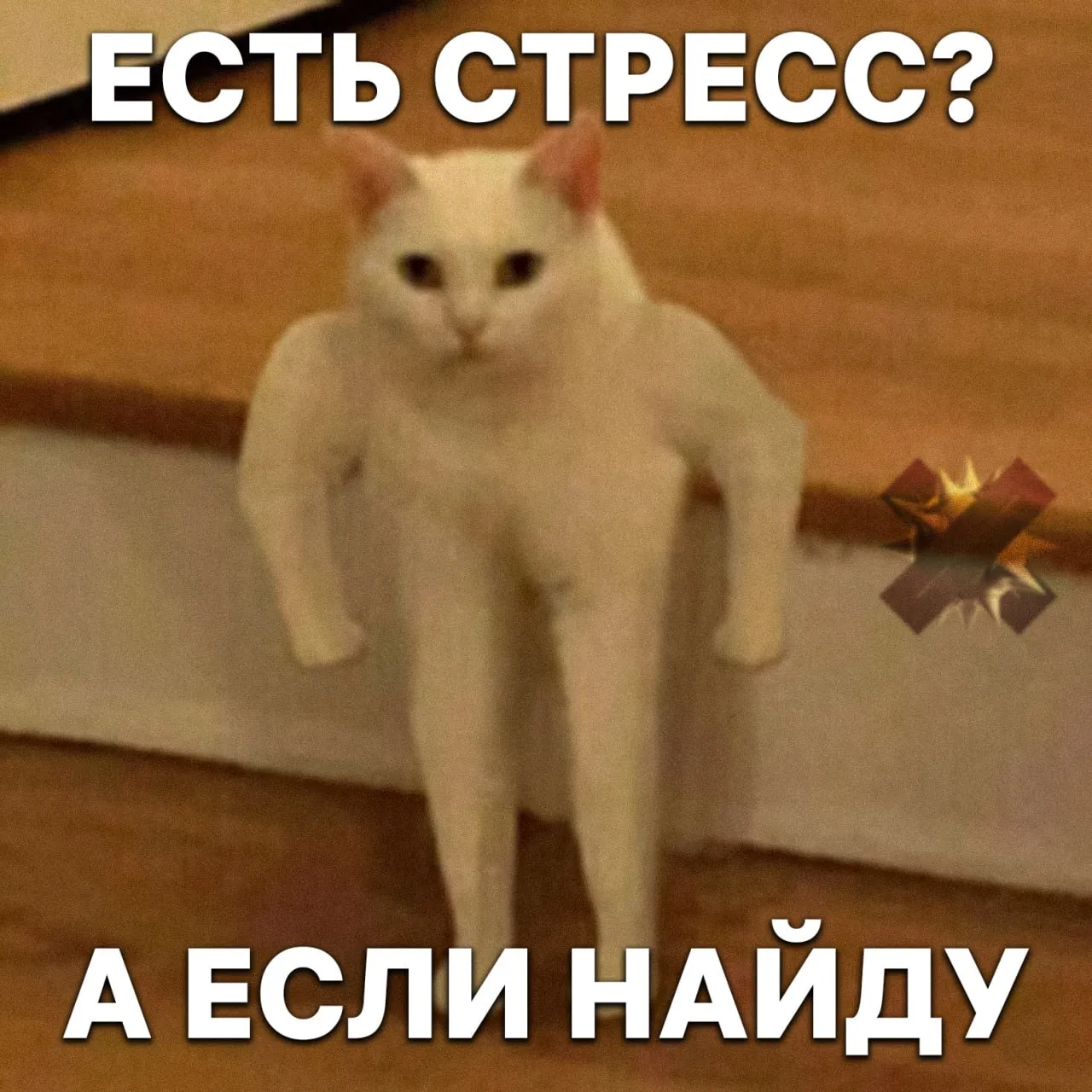 Питомцы в офисе снижают стресс и выгорание у сотрудников Сотрудники с животными на работе чувствуют себя спокойнее получают эмоциональную поддержку реже выгорают и увольняются Пушистики помогают налаживать общение и делают команду дружнее Забираем своих на работу   НМШ