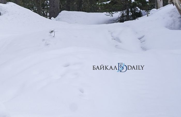 В Окинском районе лавина сошла на группу рыбаков, приехавших их Иркутска. Они направлялись к месту рыбалки на снегоходах.  Как сообщили в группе «Ока-инфо.24/7», в результате схода лавины погиб мужчина 1970 года рождения