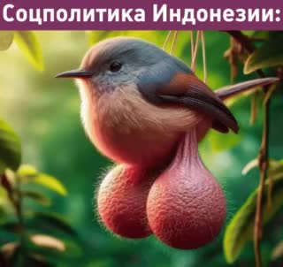 Губернатор Западной Явы предлагает вазэктомию для борьбы с нищетой