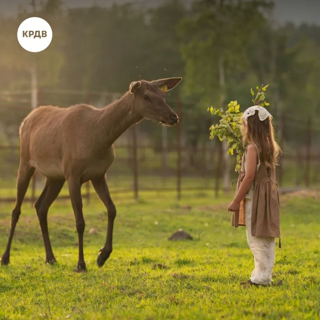 Мараловую ферму с пантовыми ваннами откроют на территории опережающего развития в 2027 году Новый резидент ТОР Приморье компания Заповедная Долина инвестирует по соглашению с КРДВ 63 млн рублей в создание туристического комплекса Маралы В рамках проекта будет создано   5 вольеров для 30 маралов на площади 17 33 га   пешие эко тропы база отдыха палаточный лагерь   банный комплекс с целебными пантовыми ваннами Будет организована продажа сувениров и местной продукции Алексей Дунаев директор КРДВ Приморье Приморский край является одним из популярных мест среди российских и иностранных туристов Реализация инвестиционного проекта окажет положительное влияние на развитие инфраструктуры бальнеологического экологического и сельского туризма в регионе Мараловодческие хозяйства могут предложить уникальные виды экотуризма включая наблюдение за дикими животными и процедуры с использованием пантового сырья КРДВ окажет проекту комплексную поддержку предоставит эффективные инструменты в рамках выбранного префрежима Резидентам ТОР доступны нулевые налоги на имущество и прибыль первые 5 лет возможность получения земли и инфраструктурной поддержки применение процедуры свободной таможенной зоны продвижение продукции и услуг правовая защита и другие инструменты государственной поддержки   Подробнее читайте на сайте КРДВ тор поддержкабизнеса