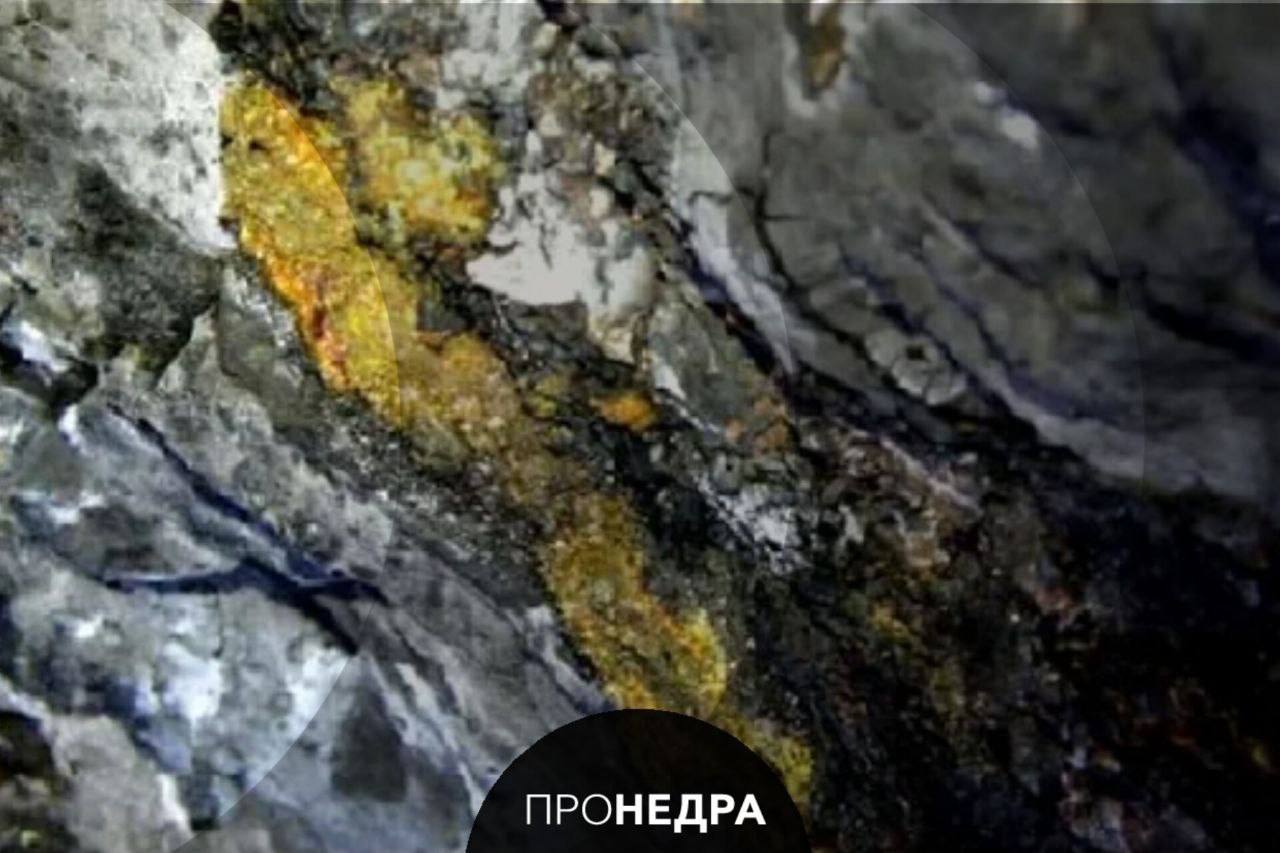 Ростам отчитался об объемах добычи золота в Якутии На месторождении Северное по итогам 2025 года было произведено 1 5 тонны золота что в два раза больше чем в 2024 году Об этом сообщает пресс служба госкорпорации В дальнейшем Росатом планирует расширять добычу в республике Уже получены заключения государственной экспертизы на объекты второй очереди на Северном Кроме этого компания объявила о завершении геологоразведочных работ на месторождении Совиное и буровых работ по проектам Дор и Рывеем на Чукотке Пронедра Подписывайся