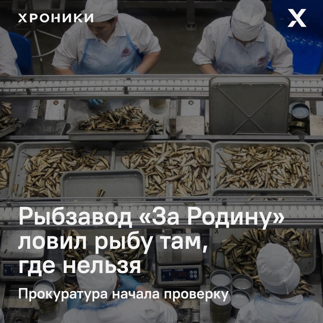 Северо-Западная транспортная прокуратура заинтересовалась судном К-2187 из Калининграда, принадлежащим группе компаний «За Родину». По данным ведомства, 7 июня судно вело промысел в запретной зоне Балтийского моря — в районе, где вылов биоресурсов запрещён правилами рыболовства. Сейчас траулер стоит в морском порту Калининграда. Прокуратура проверяет соблюдение законодательства о безопасности плавания — и отдельно разбирается, почему судно оказалось в запрещённой зоне и что там добывало. Судовладелец — ГК «За Родину», крупный игрок калининградского рыбного рынка, её владелец Сергей Лютаревич — в нашем рейтинге рыбных хозяев Северо-Запада он занимает шестое место. Поддержать нашу работу