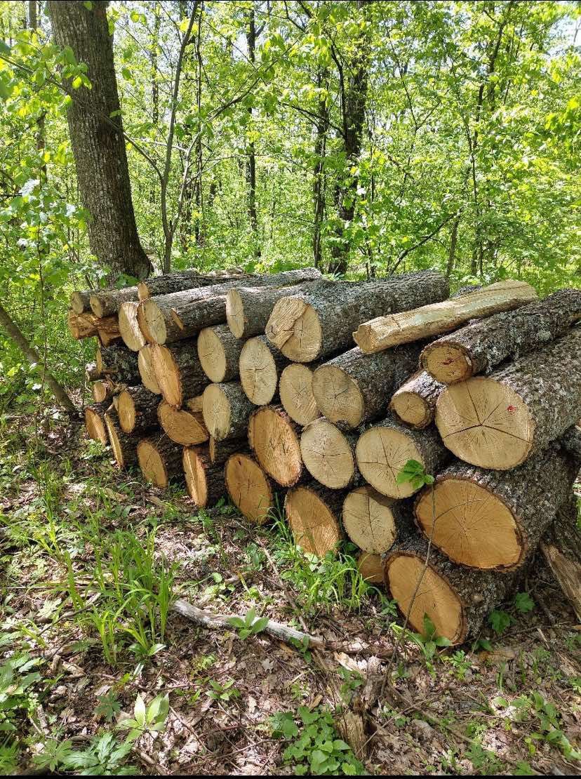 Moldsilva выставила на продажу более 250 тысяч кубометров дров Агентство Moldsilva объявило о предоставлении населению 254 тысяч кубометров дров для отопительного сезона Стоимость будет зависеть от породы древесины мягкие сорта предлагаются по более доступным ценам тогда как твердые оцениваются выше По словам заместителя директора агентства Юлиана Мамая уже доступно 137 тысяч кубометров а оставшиеся 117 тысяч будут подготовлены и предложены в ближайшие месяцы
