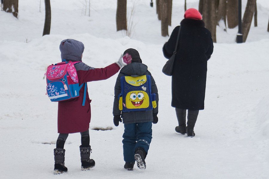 В Беларуси рассказали можно ли не вести ребёнка в школу в сильные морозы В Департаменте контроля качества образования Министерства образования напомнили о том в каких случаях занятия в учреждениях общего среднего и специального образования могут отменить из за мороза