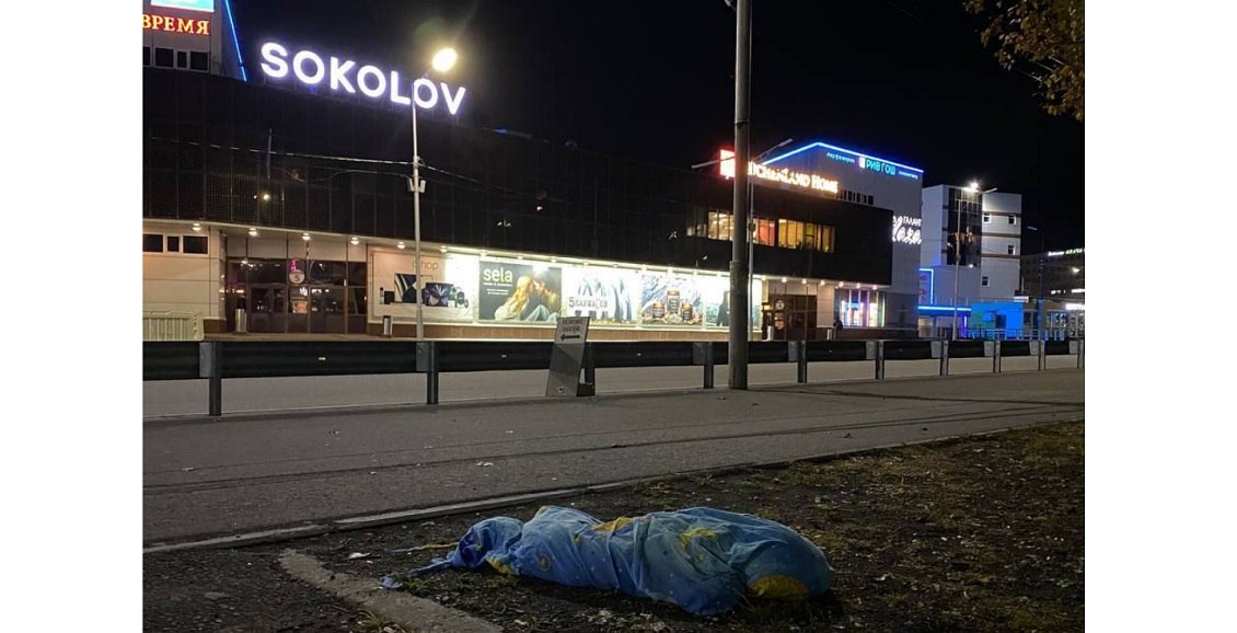 В Петропавловске-Камчатском ночной гонщик насмерть сбил собаку В Петропавловске-Камчатском прохожие стали очевидцами дорожно-транспортного происшествия. Автомобиль насмерть сбил собаку и умчался прочь. Нажмите для подробностей -