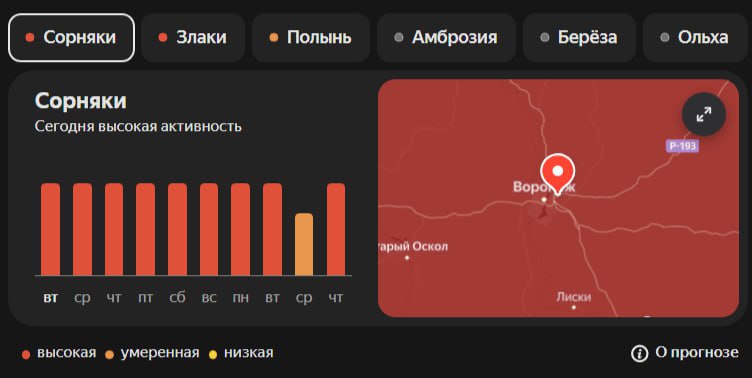 Сочувствуем аллергикам Особо сильное цветение сорняков ожидается на территории Воронежской области всю следующую неделю. Активность пыльцы спадёт только к 16 июля. Точно такая же ситуация и с цветением злаков. С 9 июля вырастет активность пыльцы полыни. Она также продержится до следующей среды.