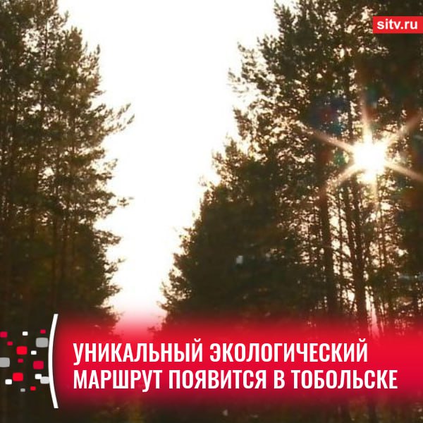 На территории «Паниного бугра» в ближайшие три года обустроят экологическую тропу протяженностью 3 км. Маршрут пройдет через лес с живописной флорой и разнообразной фауной. Специалисты утверждают, что здесь 282 вида растений в том числе краснокнижных , 105 видов птиц и 25 видов млекопитающих. Туристы смогут познакомиться с историей древнего татарского поселения Бицик-Тура 6-16 века н.э. и отдохнуть в беседках. Инфраструктура территории обещает соответствовать современным стандартам: дорожки, QR-коды с информацией, фотозоны, датчики для мониторинга нагрузки на экосистему. Планируется также разработка мобильного приложения с аудиогидом. Особенностями осуществления такого туризма являются минимизация негативного воздействия на окружающую среду и сохранение уникальных и типичных природных комплексов и объектов, - подчеркнула директор Госохотдепартамента Тюменской области Ольга Галкина. памятник природы регионального значения, площадью около 460 га. Подписаться Прислать новость