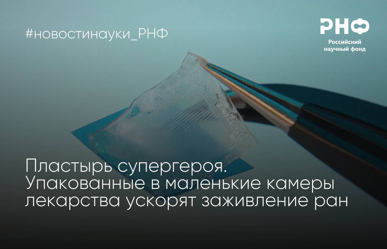 Ученые из Научно исследовательского центра LIFT с коллегами создали уникальный материал для лечения ран в основе которого лежит система из полимерных микрокамер Такие структуры медленно высвобождают заключенные в них биологически активные вещества в поврежденную ткань благодаря чему ускоряют ее заживление и снижают объем шрама В исследовании приняли участие сотрудники Сколтеха Саратовского государственного медицинского университета имени В И Разумовского Сеченовского университета и СГУ имени Н Г Чернышевского Исследование выполнено при поддержке Российского научного фонда Результаты опубликованы в журнале Applied Materials Today Разработка открывает путь к персонализированному лечению сложных повреждений и хронических ран поскольку позволит врачам корректировать биохимические процессы в ткани в зависимости от стадии заживления и особенностей состояния пациента Говоря о покрытиях для терапевтических целей научное и медицинское сообщества сталкиваются с проблемой длительного удержания молекул Наша научная группа долго ломала голову и в итоге разработала технологию микрокамер в которых вещество действительно удерживается длительное время Преимущество состоит в том что лекарственный препарат фиксируется внутри капсул в полимерной пленке позволяя последовательно высвобождать его в ране Мы рассчитываем что меньше чем через три года внедрим эту технологию в медицинскую практику На первом этапе удалось показать что она не наносит вреда Следующий шаг доказать наличие статистически значимого терапевтического эффекта Думаю в течение 1 2 лет мы сможем это подтвердить комментирует разработку кандидат физико математических наук профессор Сколтеха научный директор Научно исследовательского центра LIFT грантополучатель РНФ Глеб Сухоруков Предложенное покрытие позволяет ускорить заживление ран и значительно снизить образование рубцовой ткани тем самым обеспечивая более эстетичный и быстрый результат по сравнению с существующими методами лечения Особенно это касается хронических ран отягощенных сопутствующими состояниями например диабетом Поэтому разработка потенциально поможет повысить качество жизни пациентов сократить затраты на терапию и снизить риск осложнений В дальнейшем мы планируем адаптировать эту систему для более сложных повреждений где факторы рубцевания и скорости заживления особенно важны в частности в случае повреждения нервных тканей и спинного мозга В сегодняшней реальности когда людей с тяжелыми ранами мы видим больше чем когда либо в ХХI веке крайне важно находить способы оказания им помощи рассказывает руководитель проекта поддержанного грантом РНФ Алексей Ермаков кандидат физико математических наук старший научный сотрудник Научно исследовательского центра LIFT Читайте подробности на сайте и в статье РНФ в ВКонтакте новостинауки РНФ химия
