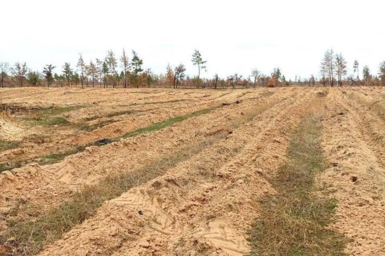 Лесоохотничьи хозяйства Республики продолжают подготовку к старту лесокультурной кампании  Неблагоприятные погодные условия, засуха и лесные пожары, прошедшие в прошлом году, нанесли существенный ущерб лесным насаждениям Луганской Народной Республики.  Для проведения мероприятий по лесовосстановлению подведомственные Минприроды ЛНР лесоохотничьи хозяйства продолжают подготовку к лесокультурному сезону. На сегодняшний день подобраны участки, выполнены работы по подготовке почвы, а также определены культуры для посадки.  Подробности читайте на  САЙТЕ  Администрации Свердловского муниципального округа ЛНР  -канал   чтобы быть в курсе всех новостей Свердловского муниципального округа ЛНР