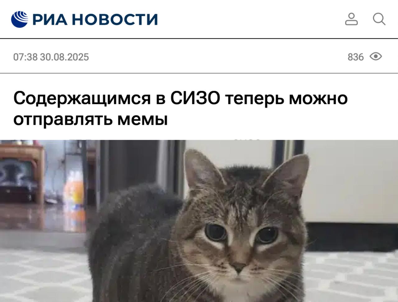 Мемы официально разрешили отправлять в СИЗО заключенным котиков и шутки про Excel распечатывают проверяют на месте и передают адресату цитаты Стетхама станут популярнее concertzaal
