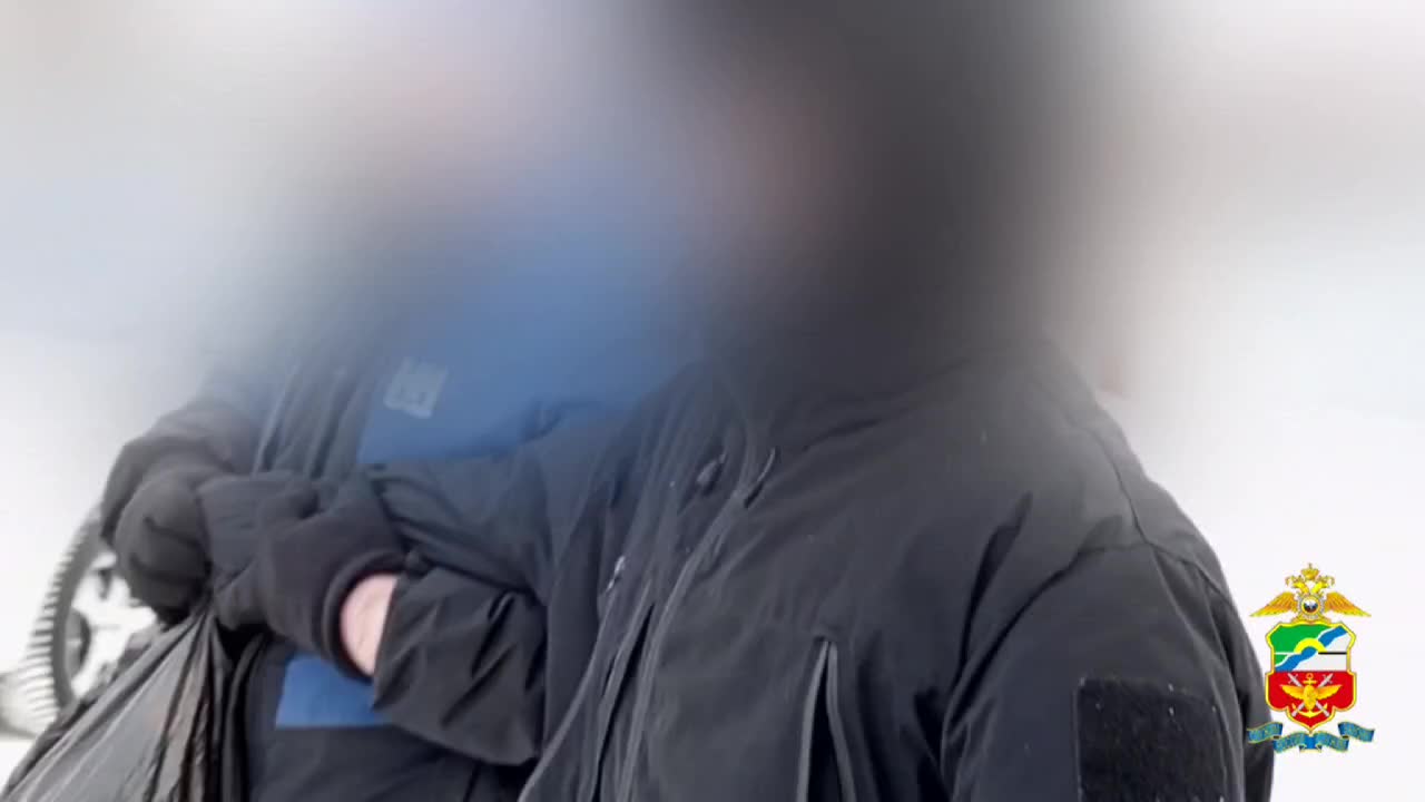 В России возбуждено уголовное дело против двух мужчин за незаконное культивирование конопли