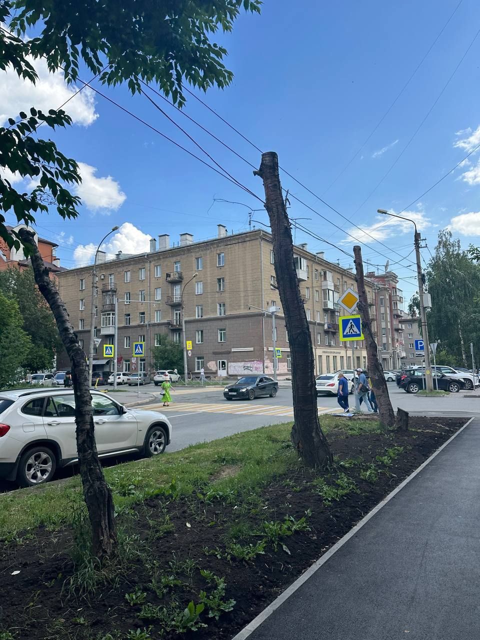 В Новосибирске происходит какое-то массовое нападение на деревья. Сначала на улице Советской осуществляют гижицкую идею. Непонятно только, почему ограничились лишь уничтожением всего зелёного. Снесли бы и сами столбы, чего мелочиться. Затем спилили аллею в Академгородке возле ДК «Академия». Как бы местные жители не бились, спасти деревья не удалось. Многолетние насаждения якобы признали аварийно-опасными, но новосибирцы уверяют, что это клевета. У Речного вокзала на улице Большевистской был замечен очередной «шедевр» Гижицкой. Вместо деревьев - палки. Это новый писк моды в Новосибирске? Результат вообще никого не беспокоит? Фото: #новосибирск