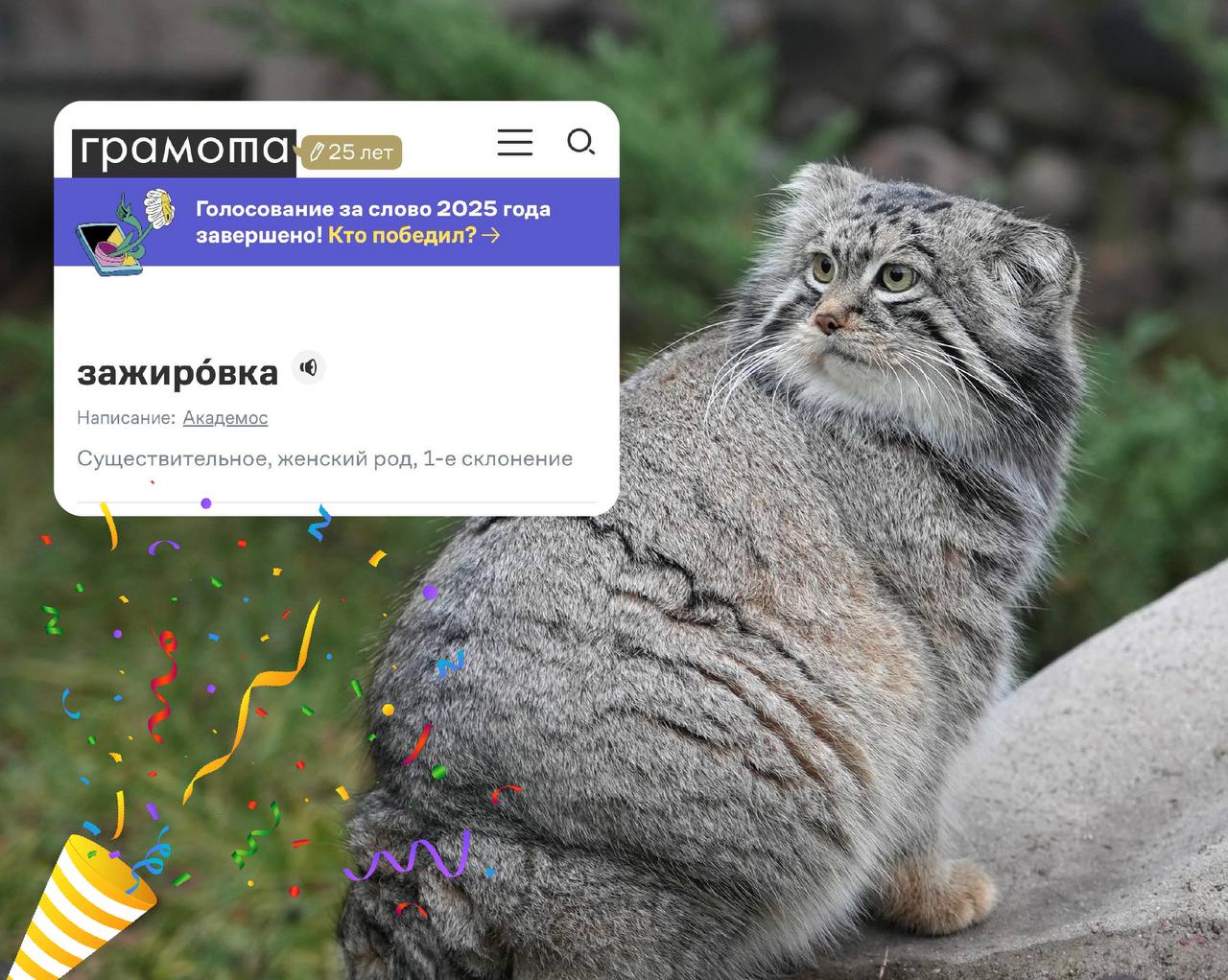 Зажировка манула Тимофея закрепилась в русском языке слово добавлено в словарь на портале Грамота ру Слово зажировка которое сотрудники Московского зоопарка используют для описания осеннего набора веса у манула Тимофея официально попало в словарный запас русского языка Эксперты справочно информационного портала Грамота ру включили термин в свой метасловарь зафиксировав его значение и происхождение   Зажировка описывает важный биологический процесс создание у животных жирового запаса необходимого для выживания в холодное время года во время спячки или при длительном дефиците пищи Изначально слово использовалось зоологами и киперами Московского зоопарка в рабочих беседах и рассказах для посетителей о Тимофее Из постов и пресс релизов зоопарка слово постепенно перекочевало в лексику журналистов и блогеров а оттуда в активный словарь горожан интересующихся жизнью питомцев зоопарка В качестве иллюстрации употребления слова лингвисты Грамота ру привели цитату из официальных социальных сетей Московского зоопарка за 2021 год Зажировка отражается не только на талии но и на поведении манулов Они чаще бегают активнее ищут корм Мы рады что профессиональный термин который мы используем в работе не только прижился в народе но и получил официальное признание лингвистов Это наглядный пример того как живой язык реагирует на события вокруг и обогащается благодаря им Теперь у зажировки Тимофея есть не только смотрители и поклонники но и своя словарная статья рассказала Генеральный директор Московского зоопарка Светлана Акулова