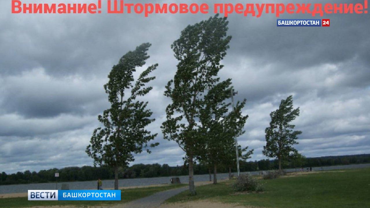 МЧС: сильный ветер ожидается в Башкортостане в ближайшие сутки МЧС по Башкортостану опубликовало штормовое предупреждение. Местами по республике ожидаются усиление ветра до 16 м/с. По данным Башгидромета, сегодня местами пройдет небольшой дождь. Днем будет +20,+25°. Завтра также ожидается небольшой дождь, по юго-востоку до умеренного. Температура воздуха ночью +9,+14°, днем +19,+24°. В пятницу, 1 августа, характер погоды не изменится. Ночью обещают +10,+15°, днем +22,+27°. Подписаться Сообщить новости