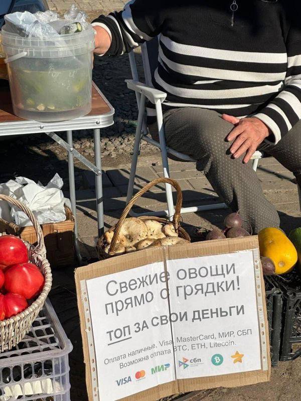 Питерские бабули начали продавать овощи за крипту Ну красота же
