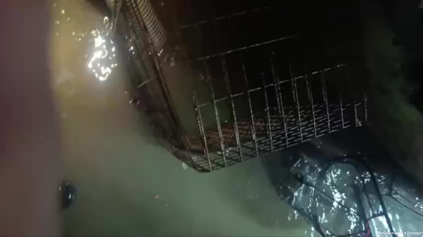 Жительница Белово переселила карпов из затопленного подвала после вмешательства властей