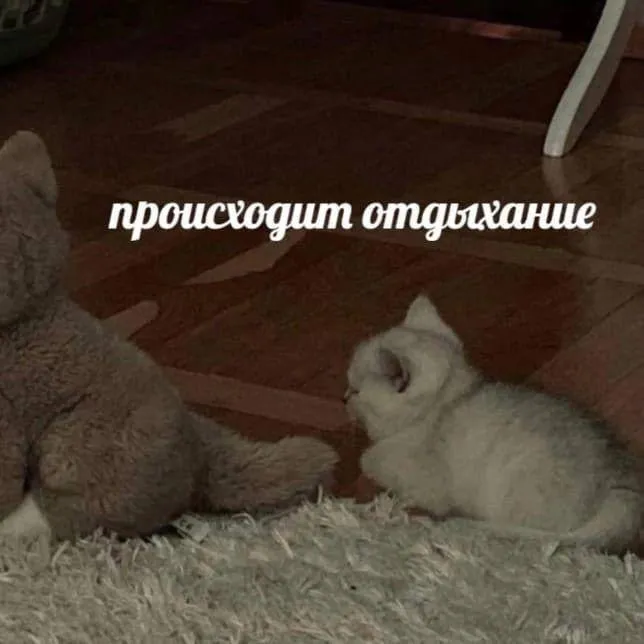 Почтовые отделения Иркутской области не будут работать два дня на майских праздниках 30 апреля и 8 мая рабочий день большинства почтовых отделений региона сократят на один час а 1 и 9 мая будут выходными 19 почтовых отделений области будут работать в майские праздники по обычному расписанию Узнать по какому расписанию работает ваше отделение можно на сайте pochta ru или в мобильном приложении компании Дарим подписчикам умный телевизор