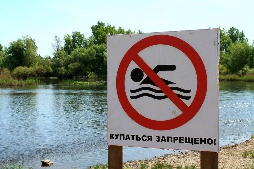 Зудом купальщика можно заразиться в пяти областях России. В РФ участились случаи заражения церкариозом, известным в народе как «зуд купальщика». Это паразитарное заболевание, которое вызывают личинки гельминтов. Подхватить неприятную заразу проще всего в пресном, тёплом, непроточном и заросшем водоёме. — В России случаи церкариоза были зафиксированы в Нижегородской, Московской, Тюменской области, Башкортостане и Краснодарском крае, — рассказала врач Оксана Минкина. Признаки заражения: через 10-30 минут после контакта с зараженной водой кожа зудит и покрывается красными узелками, волдырями. Иногда возникает отек, повышение температуры, кашель, падение давления и даже асфиксия. Лечение церкариоза в большинстве случаев симптоматическое, поскольку заболевание, как правило, проходит самостоятельно в течение 10 дней. Кубанские Новости