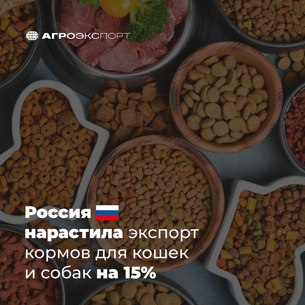 Россия нарастила экспорт кормов для кошек и собак на 15% Согласно оценкам экспертов, по итогам 2024 года российский экспорт кормов для кошек и собак составил более 108,5 тыс. тонн. В сравнении с 2023 годом объем поставок вырос на 15% в натуральном выражении. В топ-5 стран-импортеров вошли: 1-е место — Беларусь доля 51% 2-е место — Казахстан 34% 3-е место — Узбекистан 4% 4-е место — Киргизия 3% 5-е место — Азербайджан 3% #агроэкспорт #новостиАПК