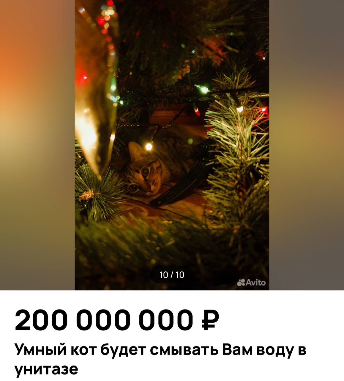 В России продают умного кота за 200 миллионов рублей  Внушительный ценник обусловлен тем, что это первый в мире пушистик, который умеет смывать воду в унитазе за собой и хозяином. Необычное объявление появилось на одном из популярных сайтов.       Красивый и обаятельный, он наполнит Ваш дом уютом и теплом и снизит риск инфаркта или инсульта на 20%, - написала хозяйка.   Но не торопитесь бежать за своими сбережениями — потенциальному покупателю еще нужно будет пройти собеседование.    Подписаться на «Вечерку»