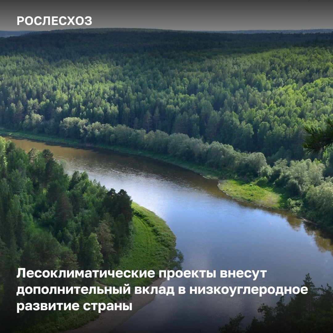 На площадке Минприроды России прошел круглый стол посвященный развитию климатических проектов в лесах Что обсудили В рамках заседания представители министерства Рослесхоза бизнеса и науки обсудили возможности и перспективы реализации лесоклиматических проектов Наша задача приложить максимум усилий чтобы найти те решения которые позволят снять существующие барьеры выстроить правильную совместную работу в том числе между Федеральным агентством лесного хозяйства и бизнесом чтобы лесоклиматические проекты генерировались активнее на территории страны Это сегодня крайне актуально особенно для малолесных регионов а также регионов которые ежегодно подвергаются лесным пожарам лесных территорий с уникальным природным потенциалом подчеркнул заместитель министра природных ресурсов и экологии России Евгений Марков Цель проектов Лесоклиматические проекты направлены на сокращение выбросов парниковых газов за счет увеличения поглощающей способности лесов Действующие с 1 января 2025 года изменения в Лесной кодекс расширили возможности реализации климатических проектов в лесах для потенциальных исполнителей Процесс реализации лесоклиматических проектов состоит из последовательных этапов от подготовки проектной документации и проведения заявленных работ до подтверждения результатов проекта и выпуска углеродных единиц Механизмом реализации лесоклиматических проектов является двустороннее соглашение между Рослесхозом и заинтересованным лицом исполнителем проекта Ведомство может отказать в заключении соглашения или расторгнуть его в случае несоблюдения условий реализации проекта которые закреплены в лесном законодательстве заключил заместитель руководителя Рослесхоза Александр Панфилов   Уже реализуются Сегодня в реестре углеродных единиц зарегистрировано три лесоклиматических проекта на землях лесного фонда Они предусматривают мероприятия по охране лесов от пожаров в Красноярском крае созданию и посадке лесных культур в Сахалинской области Республике Татарстан Нижегородской и Тюменской областях