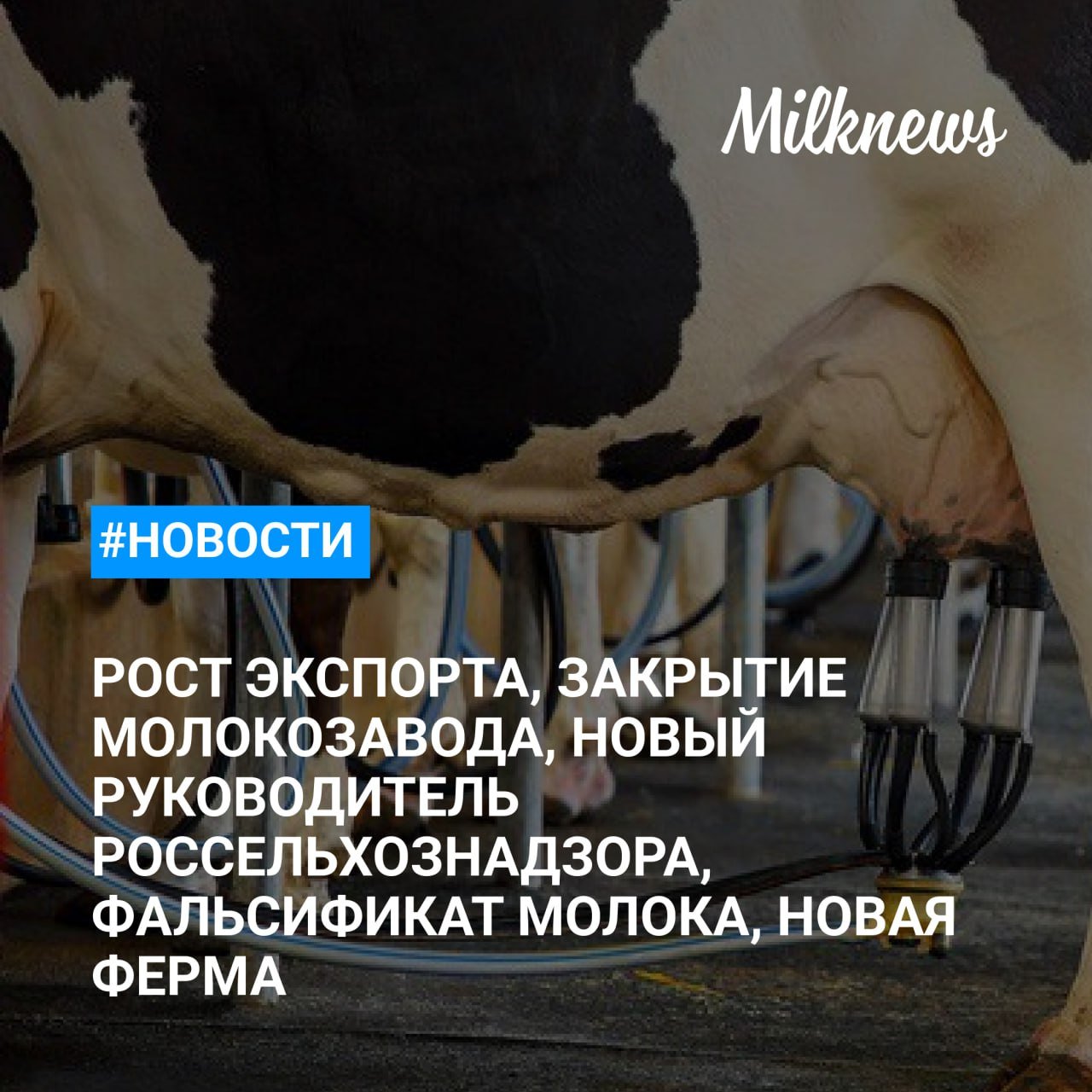 Россельхознадзор фиксирует рост экспорта продукции животноводства в 2024 году    Уренский молокозавод прекратил работу в связи с износом оборудования и небольшими объемами переработки    Врио руководителя Уральского Россельхознадзора назначен Игорь Трошкин    Под Волгоградом выявили 12 тонн молока неизвестного происхождения    СПК «Колхоз имени Чапаева» завершил строительство фермы на 480 коров в Пермском крае