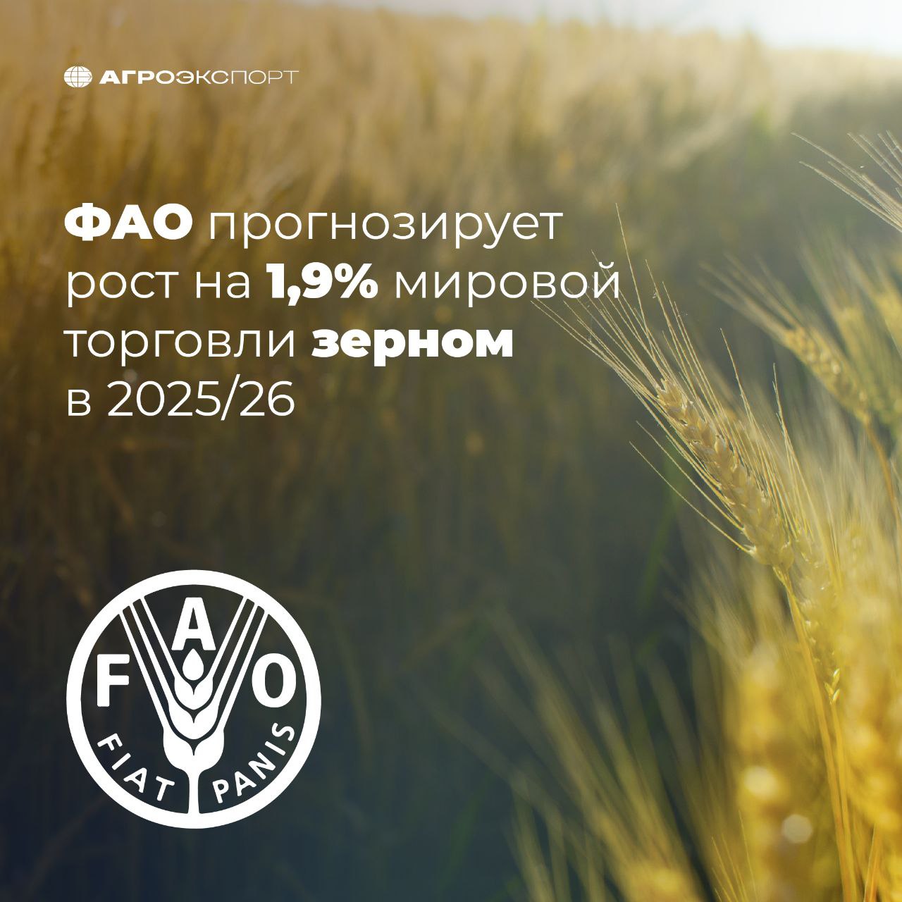 ФАО прогнозирует рост на 1,9% мировой торговли зерном в 2025/26 После сокращения почти на 7% в текущем сезоне, в 2025/26 объем торговли зерновыми в мире частично восстановится, увеличившись на 1,9%, до 487 млн тонн. Об этом говорится в обзоре спроса и предложения зерна, публикуемом ФАО. Восстановление обеспечит, главным образом, мировая торговля пшеницей, объем которой может вырасти на 3,8%. Торговля фуражным зерном продемонстрирует рост на 0,9%, тогда как рисом — сократится на 0,7%. Мировое производство зерна в 2025 году, по оценкам ФАО, увеличится на 2,1%, до рекордных 2 911 млн тонн, за счет улучшения урожая всех основных зерновых культур. Произведенный объем, как ожидается, превысит потребление, в связи с чем глобальные запасы зерна на конец сезона 2025/26 возрастут на 1% на 8,3 млн тонн . FAO #агроэкспорт #новостиАПК