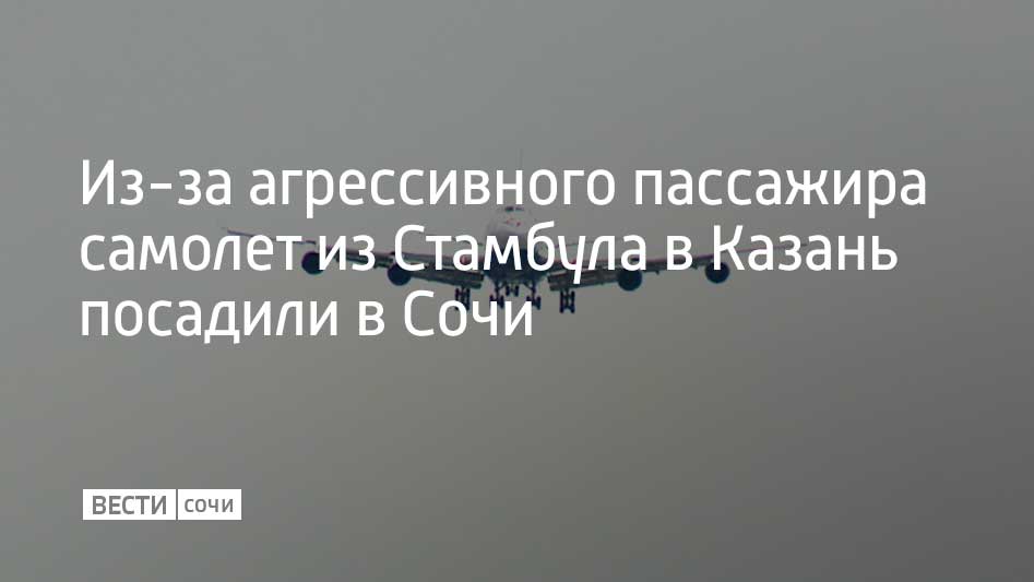 В дежурную часть линейного отдела полиции поступило сообщение от экипажа лайнера из Стамбула в Казань о том что во время полета один из пассажиров грубо нарушал общественный порядок После набора высоты мужчина стал громко кричать и провоцировать конфликты с другими пассажирами на замечания не реагировал Самолет вынужденно посадили в Сочи где полицейские сняли с рейса и доставили в отдел 60 летнего иностранца Мужчина привлечен к административной ответственности предусмотренной статьей Мелкое хулиганство сообщила официальный представитель МВД России Ирина Волк в своем Telegram канале