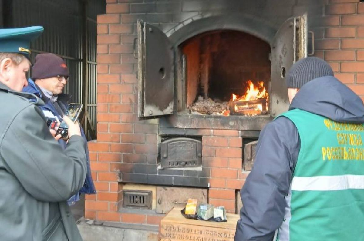 В Челябинской области сожгли две партии санкционного сыра   ural business magazine online fn 1746377 html В торговом комплексе Тракторозаводского района Челябинска обнаружили две партии санкционного сыра Продукция была изъята и уничтожена Подписаться   Обратная связь