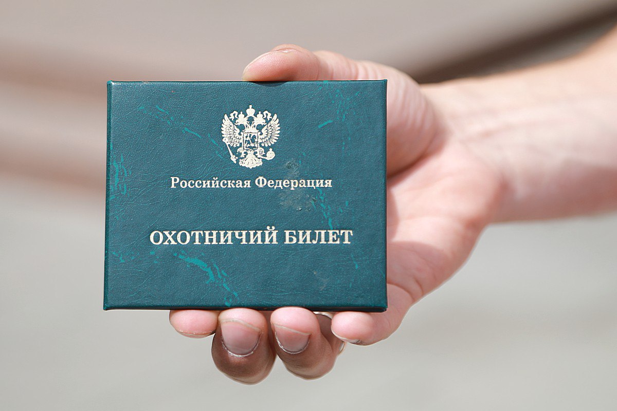 В Красноярском крае открылся летне-осенний сезон охоты. Добывать можно волка, кабана, медведя.   С 5 августа начнется охота с подружейными собаками и ловчими птицами на болотную, луговую и степную дичь типа бекаса, кроншнепа и других. С 16 августа – на белую и тундряную куропатку, а 30 августа – на уток, глухаря, тетерева и вальдшнепа.   Охотинспекторы перешли на усиленный режим работы – уже открыли свой сезон охоты на браконьеров. За отстрел птиц и животных без разрешения предусмотрен не только штраф, но и уголовное дело.    ⁉ А как вы относитесь к охоте на диких зверей и птиц?