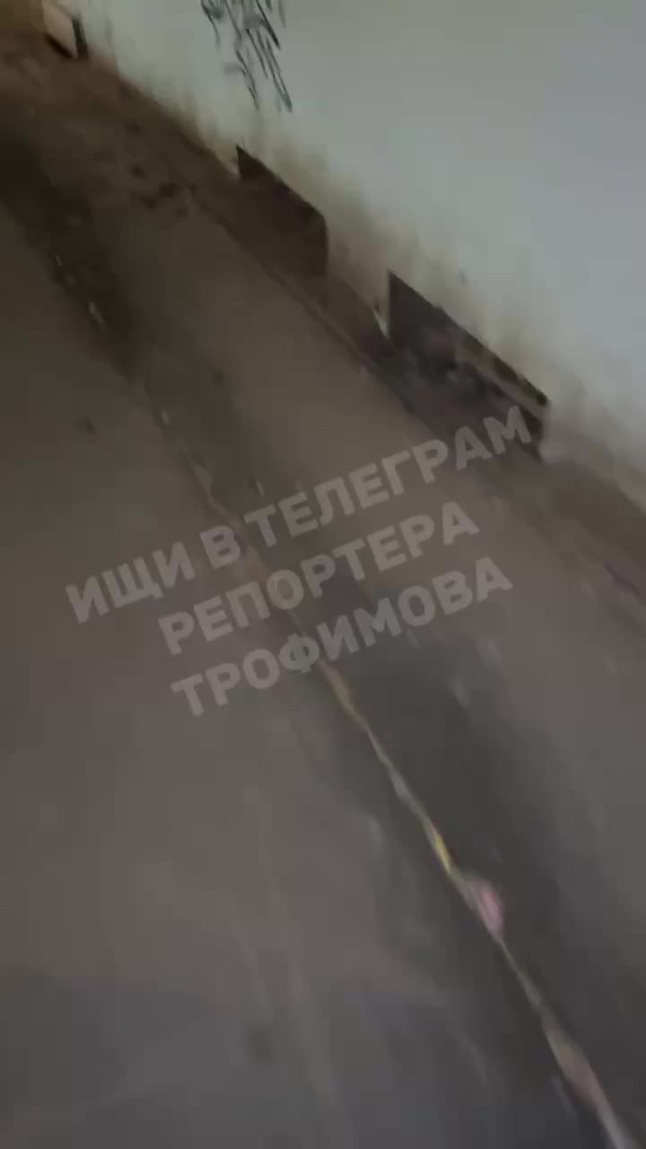 Жители Архангельска жалуются на мусорные свалки в жилых домах