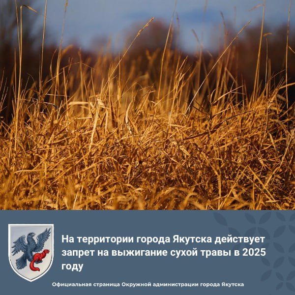 На территории города Якутска действует запрет на выжигание сухой травы в 2025 году Ежегодно от пала сухой травы происходят сотни возгораний лесных насаждений. Как правило, такое горение в большинстве случаев неконтролируемое – распространяется с высокой скоростью и на крупных площадях. Зачастую оно представляет реальную угрозу жилым строениям, хозяйственным постройкам, а в некоторых случаях и жизни людей. Ограничение установлено правилами противопожарного режима в РФ, утвержденными постановлением правительства России № 1479. Управление сельского хозяйства ГО «город Якутск» напоминает сельскохозяйственным предприятиям, организациям и главам крестьянских фермерских хозяйств: о запрете выжигания сухой травянистой растительности, стерни, пожнивных остатков на землях сельскохозяйственного назначения, землях запаса и землях населенных пунктов, расположенных на территории городского округа «город Якутск»; обеспечить проведение очистки от сухой травянистой растительности, пожнивных остатков, валежника, порубочных остатков, мусора и других горючих материалов. #ЛесныеПожары2025