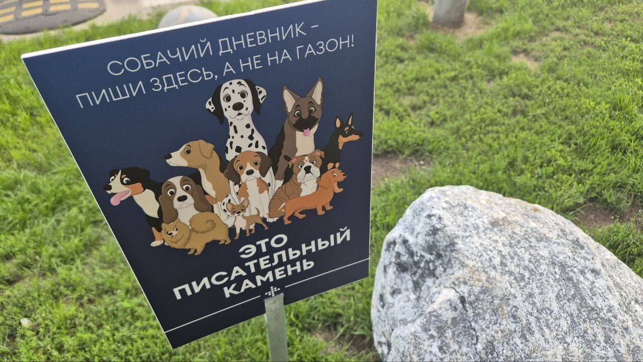 «Писательные» камни для собак заметили в Москве. Они нужны для того, чтобы пушистики не ходили в туалет на цветы. Первый Московский
