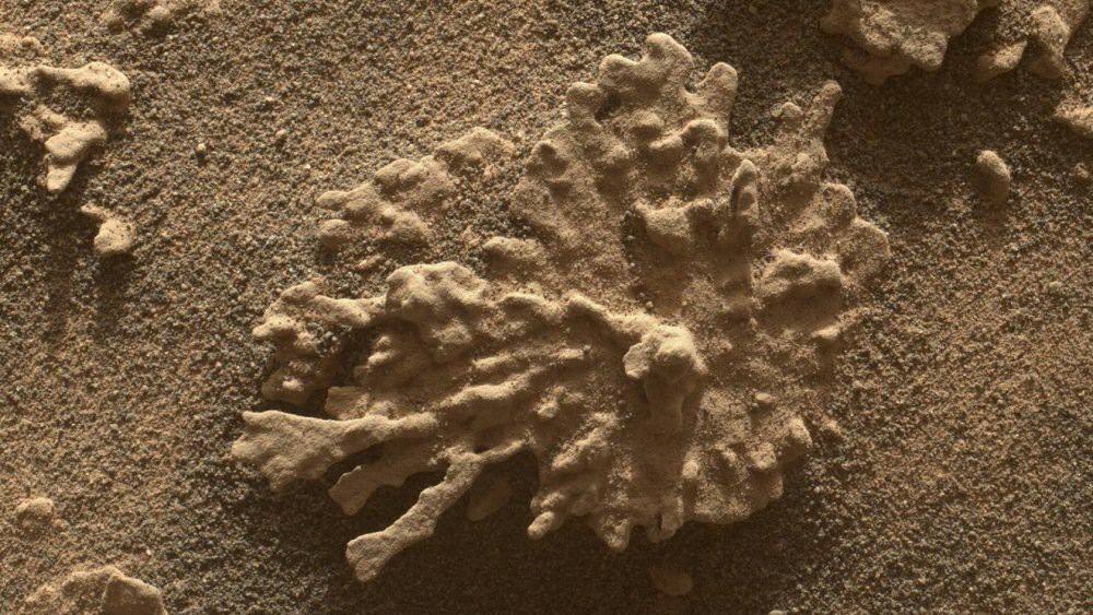 Марсоход Curiosity запечатлел на Марсе необычный «коралловый» камень.    6 августа исполнилось 13 лет с начала работы Curiosity на Красной планете. Сейчас марсоход осваивает режимы энергосбережения, чтобы продолжать миссию.    С 2012 года, когда аппарат приземлился в кратере Гейла, он прошел свыше 35 км, исследуя марсианские породы, анализируя грунт и раскрывая прошлое планеты. Curiosity подтвердил, что Марс некогда обладал жидкой водой, плотной атмосферой и условиями, подходящими для микробной жизни. Несмотря на износ колес и технические трудности, марсоход остается в строю.    24 июля он сфотографировал необычную скалу, похожую на коралл. Ее назвали «Папосо»  от испанского «шумный, говорливый» . Камень размером около 5 см был снят камерой на роботизированной руке. Папосо, вероятно, сформировался миллиарды лет назад, когда Марс был богат водой.   Фото: NASA/JPL-Caltech/MSSS