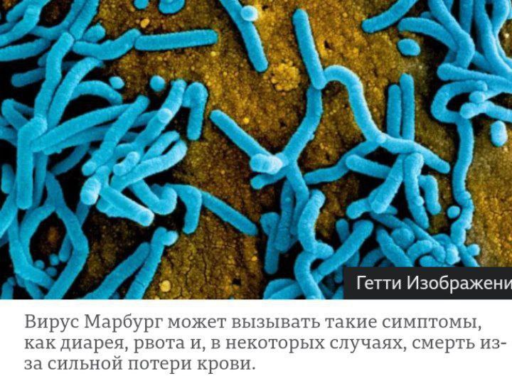 ‼ Власти Руанды ограничили масштабы похорон жертв вируса Марбург в попытке остановить вспышку этого крайне заразного заболевания.  Восемь человек погибли во время первой вспышки вируса в Руанде, которую в пятницу подтвердило министерство здравоохранения страны. Десять дней назад Руанда начала вакцинировать людей от Mpox, первая страна в Африке.   Вакцинация началась с тех людей, которые работают в здравоохранении, теперь те, кто умирают от вируса Марбург, — это работники здравоохранения. Есть связь? Некоторые указывают на это пальцем!  Совпадение..?   Канал