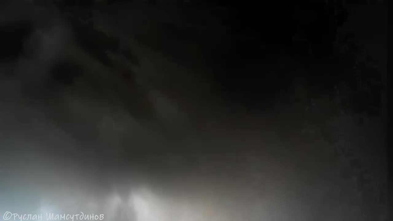 Медведь повредил фотоловушку в Керженском заповеднике