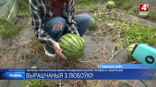 Школьница из Гомельской области поделилась урожаем арбузов с детьми интерната после получения семян от Президента Беларуси