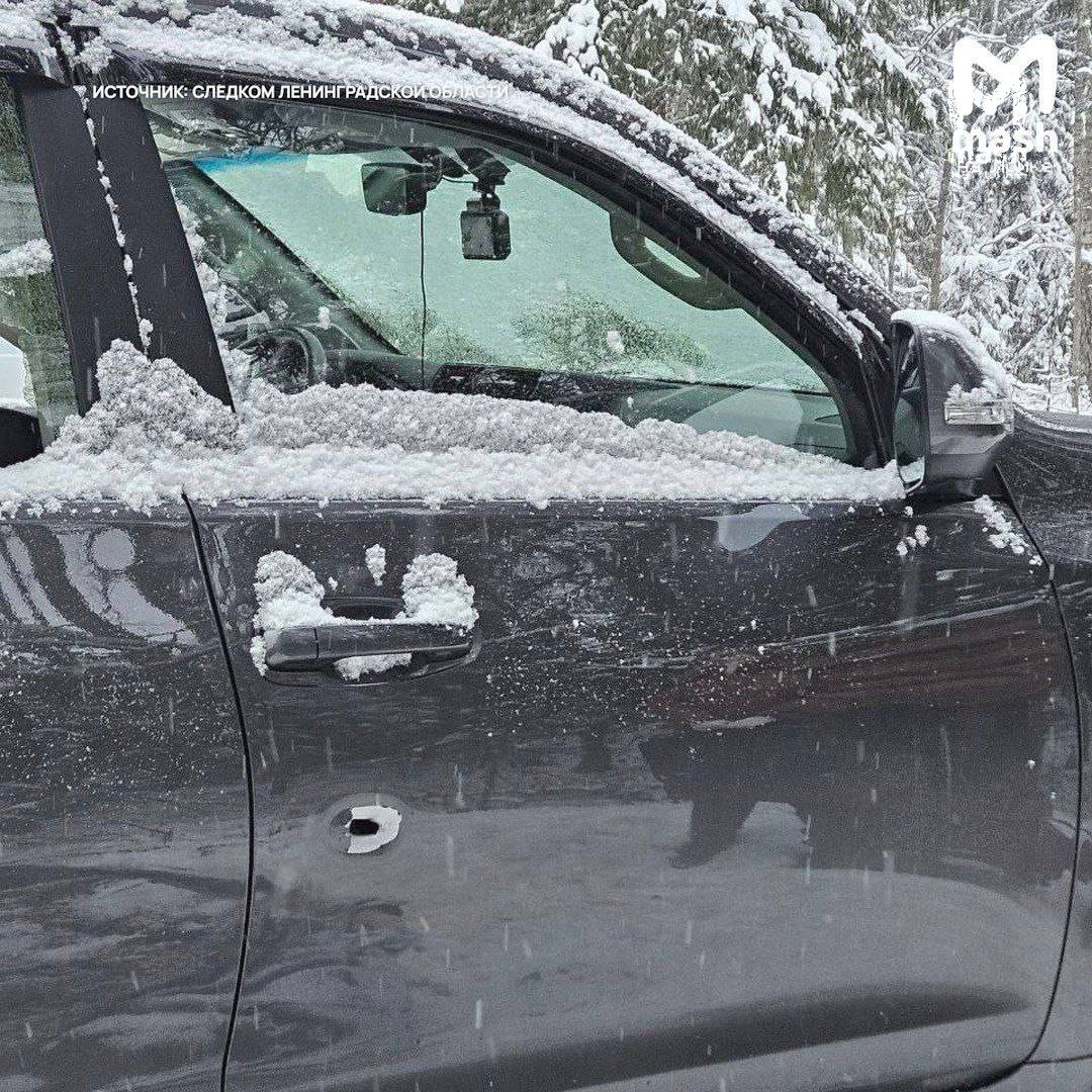 Охота на лося под Кингисеппом ЛО закончилась гибелью мужчины 27 летний парень принял двигавшуюся по дороге тачку за животное и дважды выстрелил Пуля прошла навылет и попала в пассажира Стрелка задержали и изъяли у него оружие ему предъявили обвинение Молодой человек вину признал Возбуждено уголовное дело по статье о причинении смерти по неосторожности