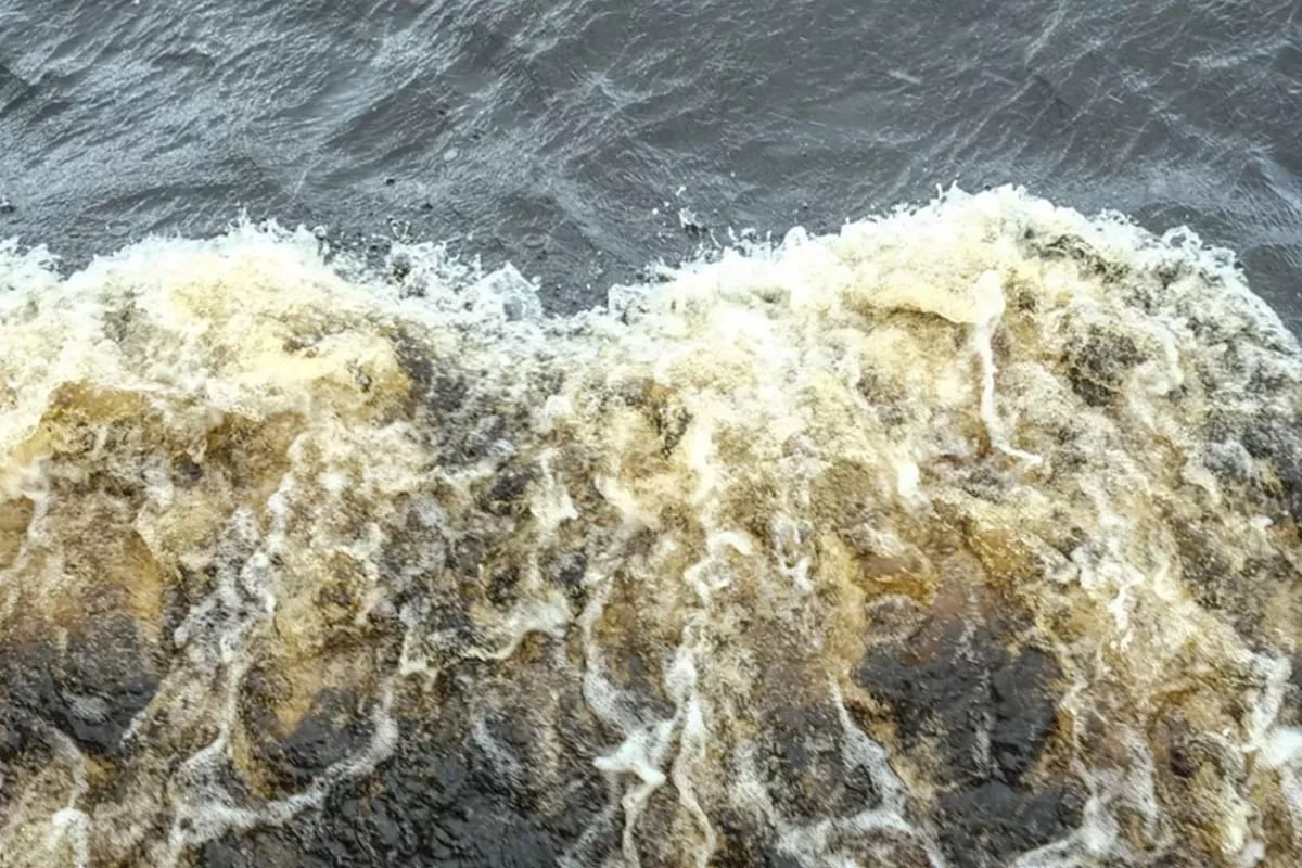 Уровень воды повышается в реках Горячего Ключа Белореченского и Северского районов Опасных и неблагоприятных отметок он не достиг Об этом сообщили в Оперштабе Краснодарского края Кубанские Новости Мы в MAX