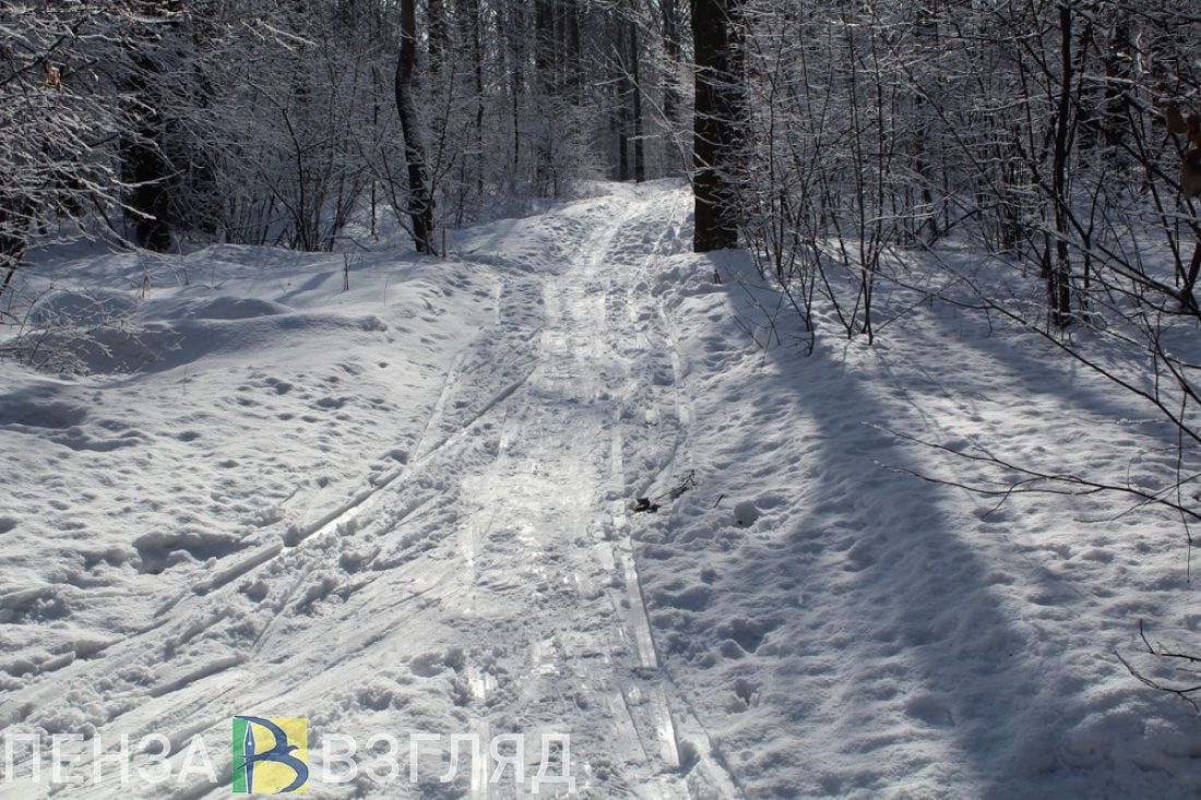 В выходные в Пензенской области ожидаются сильные метели   В ближайшие выходные, 15 и 16 февраля, Пензенская область окажется под влиянием циклона, который принесет с собой снег.  Ожидаются временами сильные осадки, с метелью и снежными заносами на дорогах. В среднем температура воздуха днем ожидается в пределах от -5 до -7 градусов Цельсия. По данным Пензенского ЦГМС, ветер будет юго-западным, со скоростью 7-12 метров в секунду.  К понедельнику, 17 февраля, циклон ослабнет, осадки прекратятся, а вот морозы усилятся. Температура воздуха ночью опустится до -10...-12 градусов Цельсия, сообщает начальник отдела прогнозирования ФГБУ Приволжское УГМС Светлана Иванкова.   Специалисты рекомендуют жителям области быть осторожными, планируя поездки в выходные дни, и следить за прогнозами погоды.    -Взгляд   Прислать новостей