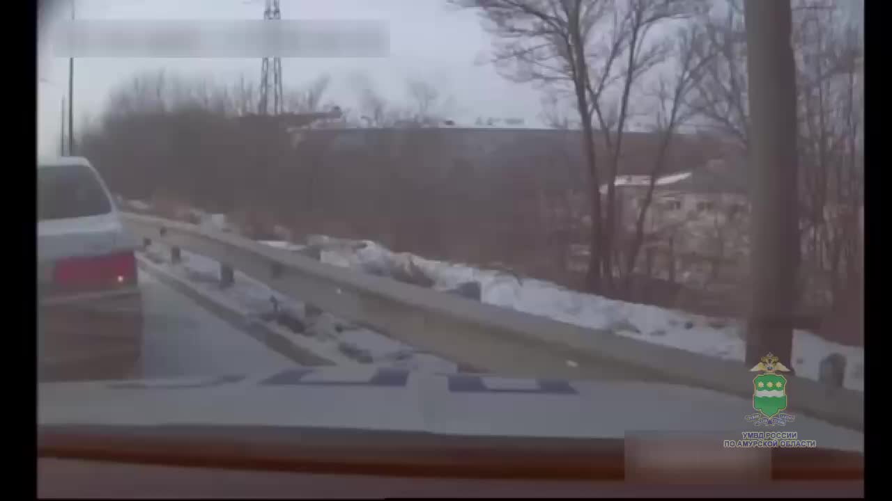 Инспекторы ДПС Амурской области успешно доставили роженицу в больницу