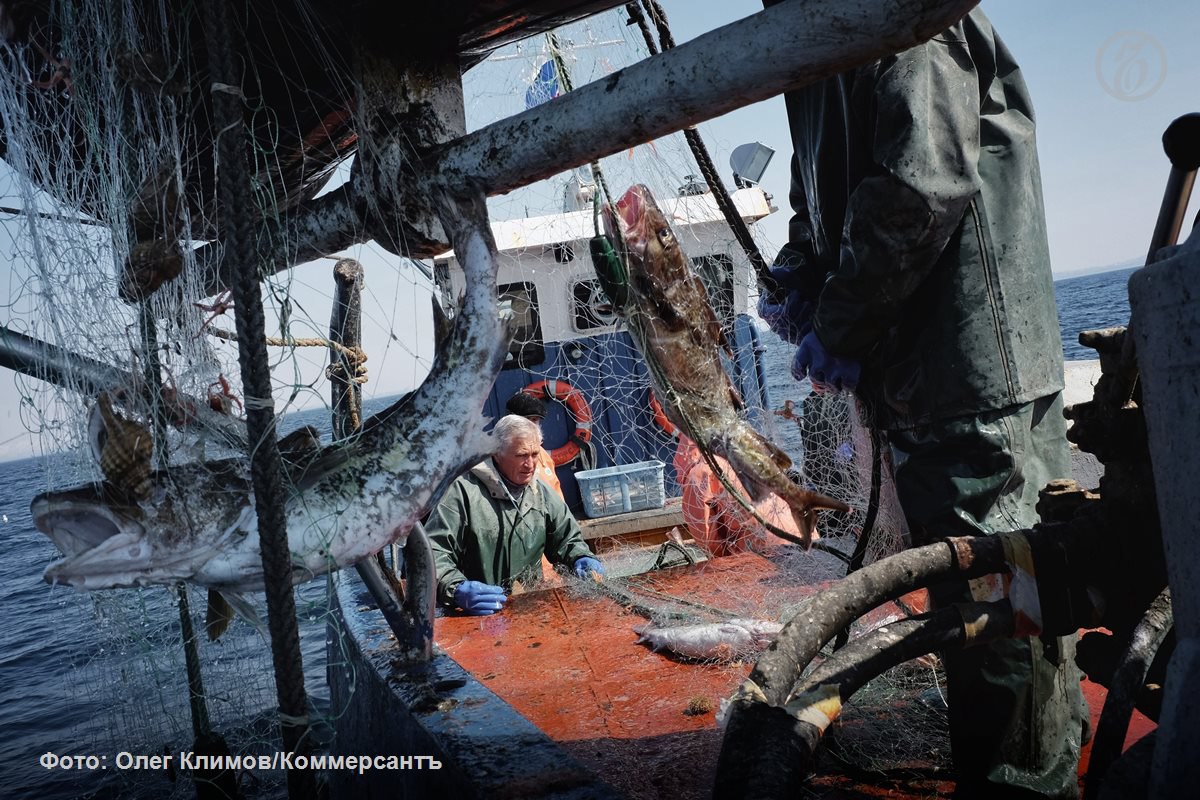 Рыбопромышленники предлагают создать в России реестр недобросовестных участников аукционов на право пользования рыбоводными участками запретив им дальнейшее участие в торгах Сейчас победители конкурсов могут уклоняться от заключения договоров сознательно срывая торги Но участники рынка сомневаются что это решит основные проблемы отрасли В Росрыболовстве Ъ сообщили что ведомство поддерживает создание такого реестра Это позволит пресечь срыв конкурсов и аукционов который снижает заинтересованность бизнеса в развитии аквакультуры Сейчас Росрыболовство противодействует проблеме через судебные разбирательства по взысканию с победителей торгов средств Ъузнал