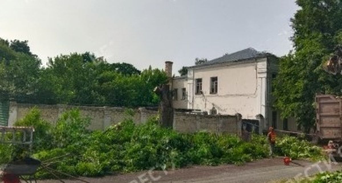 В Орле начали вырубать деревья на улице Максима Горького На улице Максима Горького в Орле в связи с началом ремонта начали вырубать деревья. Об этом сообщают «Вести-Орел». ↗ Прислать новость Подписаться