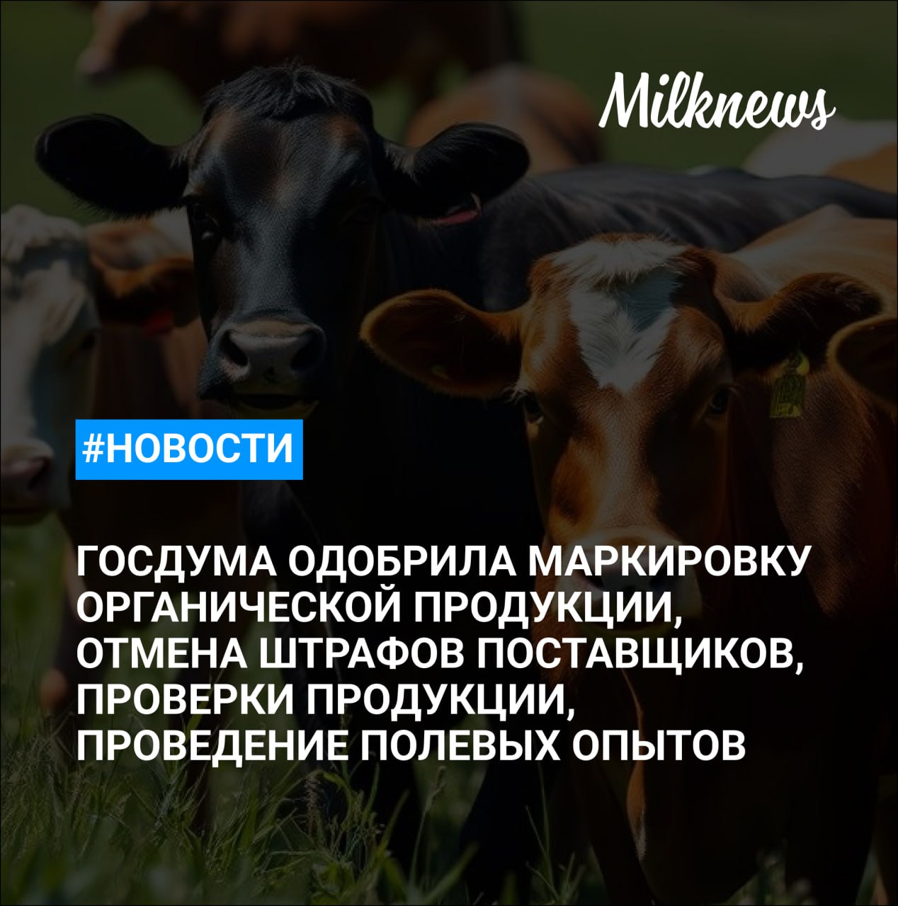 Торговые сети не смогут штрафовать поставщиков за невыполнение несогласованного заказа товаров ГД одобрила в I чтении законопроект об особенностях маркировки органической продукции Свыше 2,6 тыс. исследований провели в ветлаборатории агропарка «Сырная долина» с начала года Директора АО «Молочный двор» дисквалифицировали за нарушения сроков выплаты зарплаты Госсорткомиссия провела более 18 тысяч полевых опытов в 2024 году