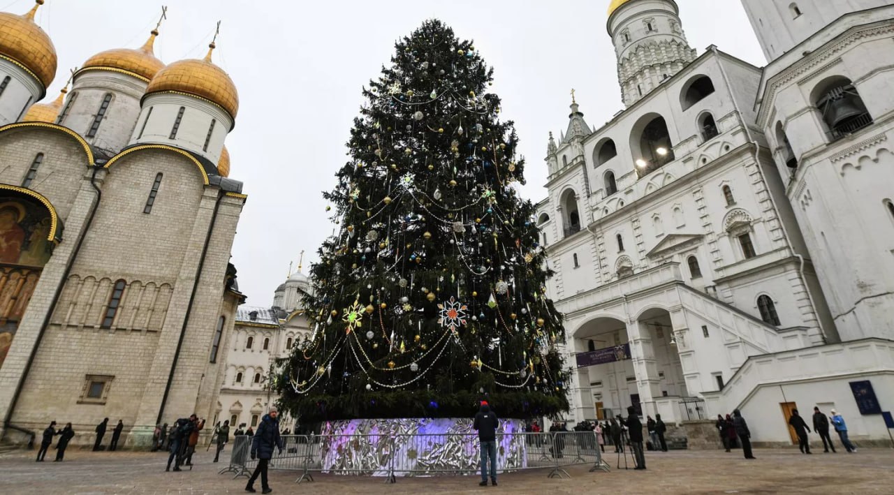 В Кремле нарядили главную новогоднюю елку России Ее украсили 2 5 тысячи кристаллов шаров светодиодных снежинок а также 2 5 км гирлянд В этом году дизайн проект новогоднего оформления называется Морозный узор в цветовой гамме используются перламутровые оттенки передающие блеск ледяных кристаллов Праздничный наряд состоит из мерцающих гирлянд бус кристаллов льда шишек снежных шаров и других украшений Дополняют декор светодиодные сосульки с эффектом бегущего света светодиодные мерцающие подвески В этом году для украшения используются новые самые большие за историю оформления светодиодные снежинки размерами 80 и 115 сантиметров рассказали в пресс службе Новогоднюю елку в Кремль в этом году привезли из подмосковной Рузы Высота столетнего дерева 26 метров обхват ствола 64 сантиметра а размах нижних ветвей 11 метров