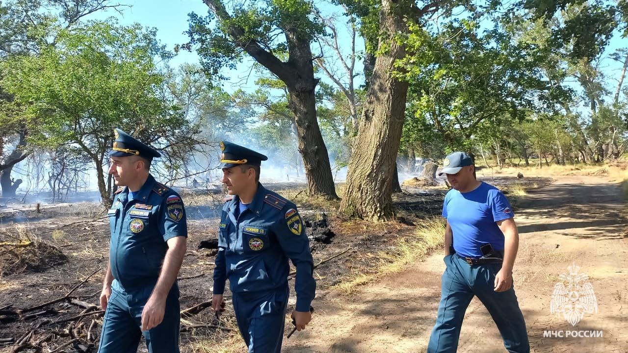 В Бабаюртовском районе пожар ликвидирован. На месте находился начальник Главного управления МЧС России по Республике Дагестан, Муслим Девришбеков. В ликвидации пожара задействована группировка от РСЧС общей численностью 92 человека и 9 единиц техники. В том числе: 12 человек и 2 единицы техники от МЧС, а также силы лесничества и местного населения. #МЧСДагестан #МЧС05