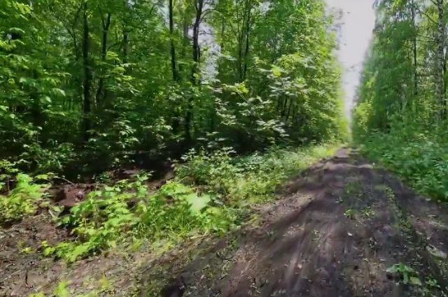  «Уфимское ожерелье» продлят до Цветов Башкирии Вело-пешеходную тропу «Уфимское ожерелье» продлят до жилого комплекса «Цветы Башкирии». Главархитектура Уфы провела выездное совещание с городскими службами, чтобы обсудить варианты формирования маршрута между комплексом и Кооперативной поляной. Ранее власти столицы говорили о продолжении строительства тропы в Орджоникидзевском районе. В прошлом году здесь открыли тропу «Висячий камень». Также оборудуют парковку у входа со стороны улицы Блюхера, продолжат маршрут к Городскому дворцу культуры.