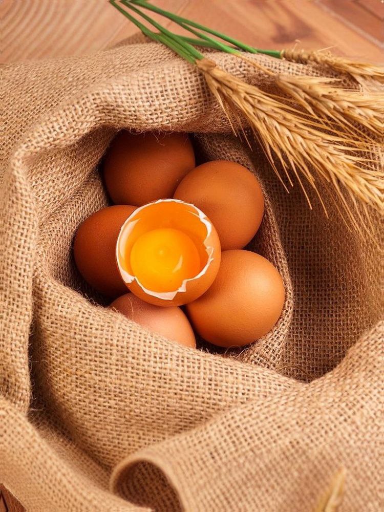 Согласно предварительным оценкам в 2025 году Россия поставила в Объединенные Арабские Эмираты 7 2 тыс тонн свежих куриных яиц стоимостью 8 6 млн долл США Такой объем стал максимальным с 2018 года когда экспорт достигал 12 5 млн долл США В результате ОАЭ стали лидером среди покупателей отечественных свежих куриных яиц в 2025 году в стоимостном выражении обогнав Монголию Кроме того в прошлом году в ОАЭ экспортировались сушеные яйца птиц 658 тыс долл США а также высушенный яичный альбумин 41 тыс долл США Альбумин был поставлен в ОАЭ впервые tradewithoutborders торговлябезграниц экспорт импорт Россия ОАЭ торговля Торговля без границ Экспорт Вашей продукции Решение любых вопросов ВЭД